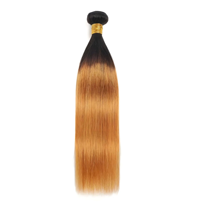 Single straight bundle in T1B/30 ombre color, showing smooth blend from dark off black roots to warm auburn tone.